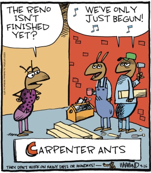 ♫ carpenter ants.jpg