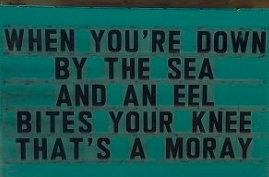 ♫ that's amoray.png