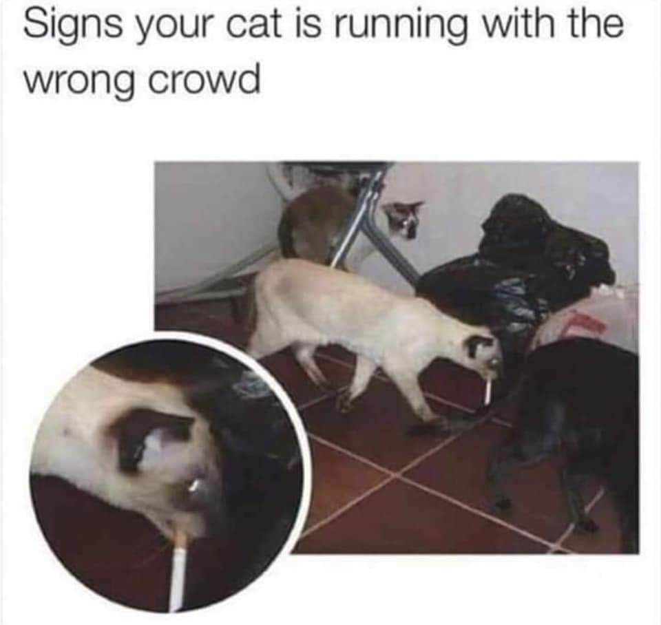 0DA97A54-57AA-4B5A-84DC-1F29F949D866.jpeg