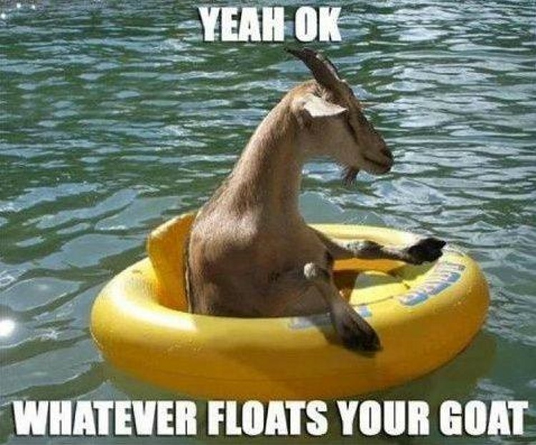 1-GOAT.jpg