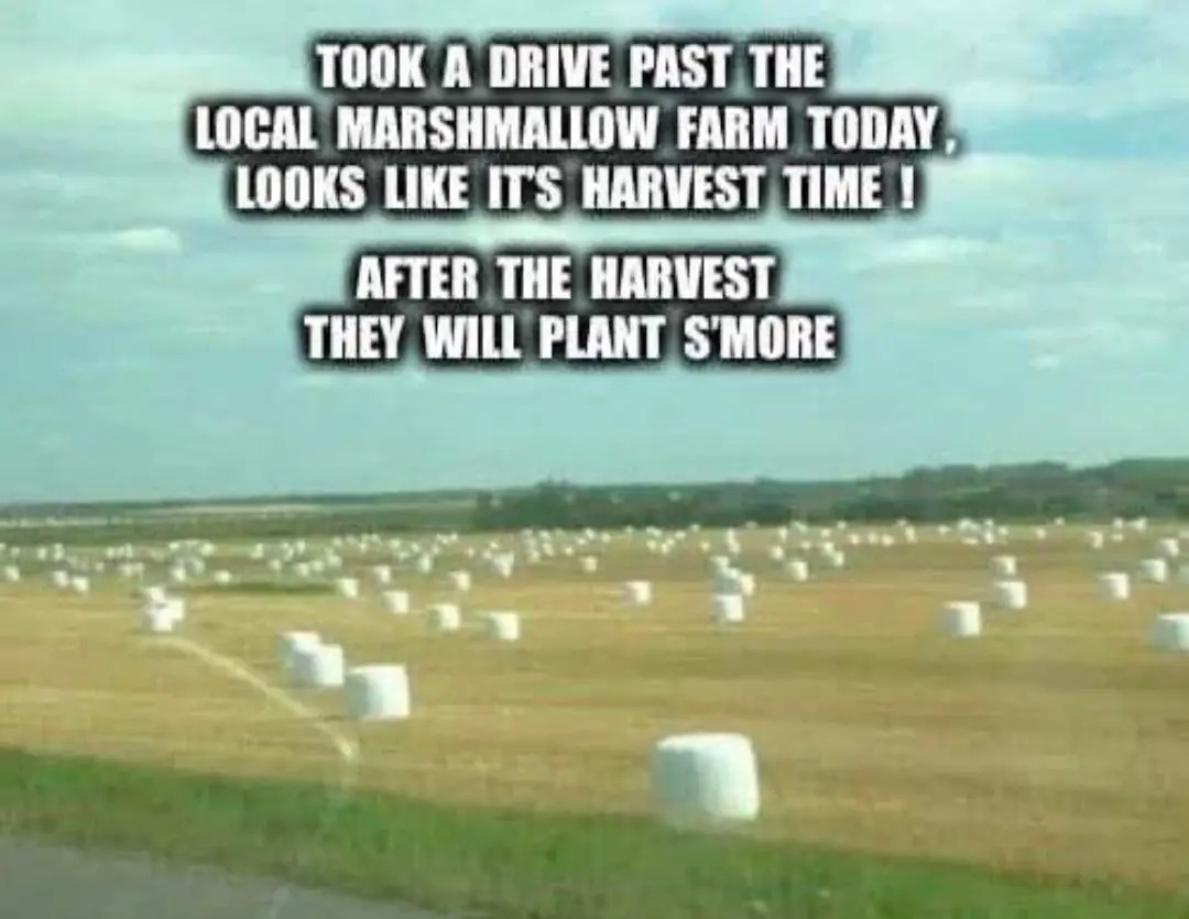 1000000214.jpg