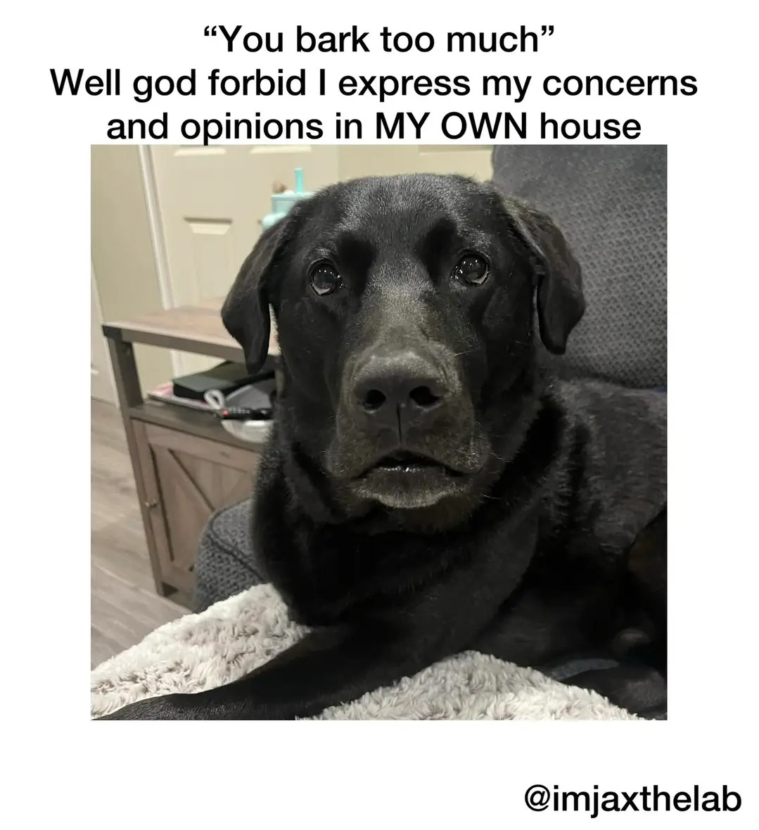 1000000824.jpg