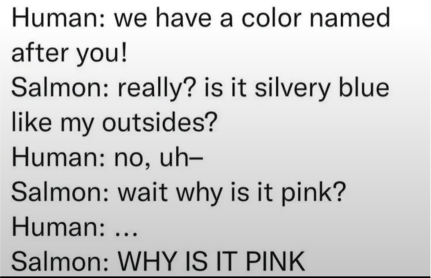 1000001206.png