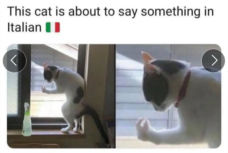1000001212.png