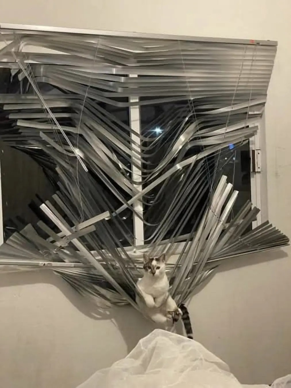 1000001215.jpg