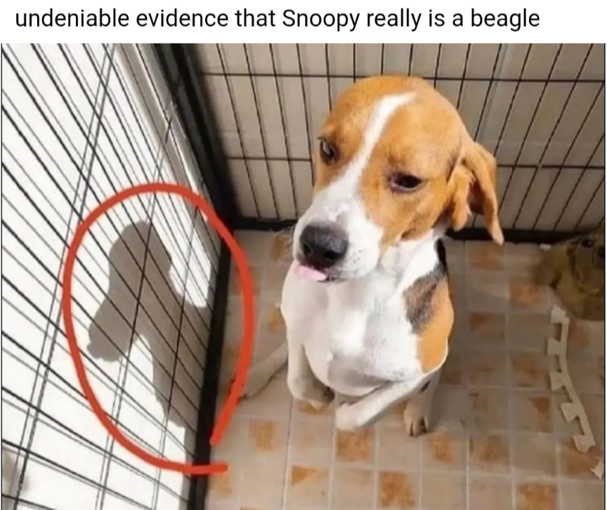 1000001245.png