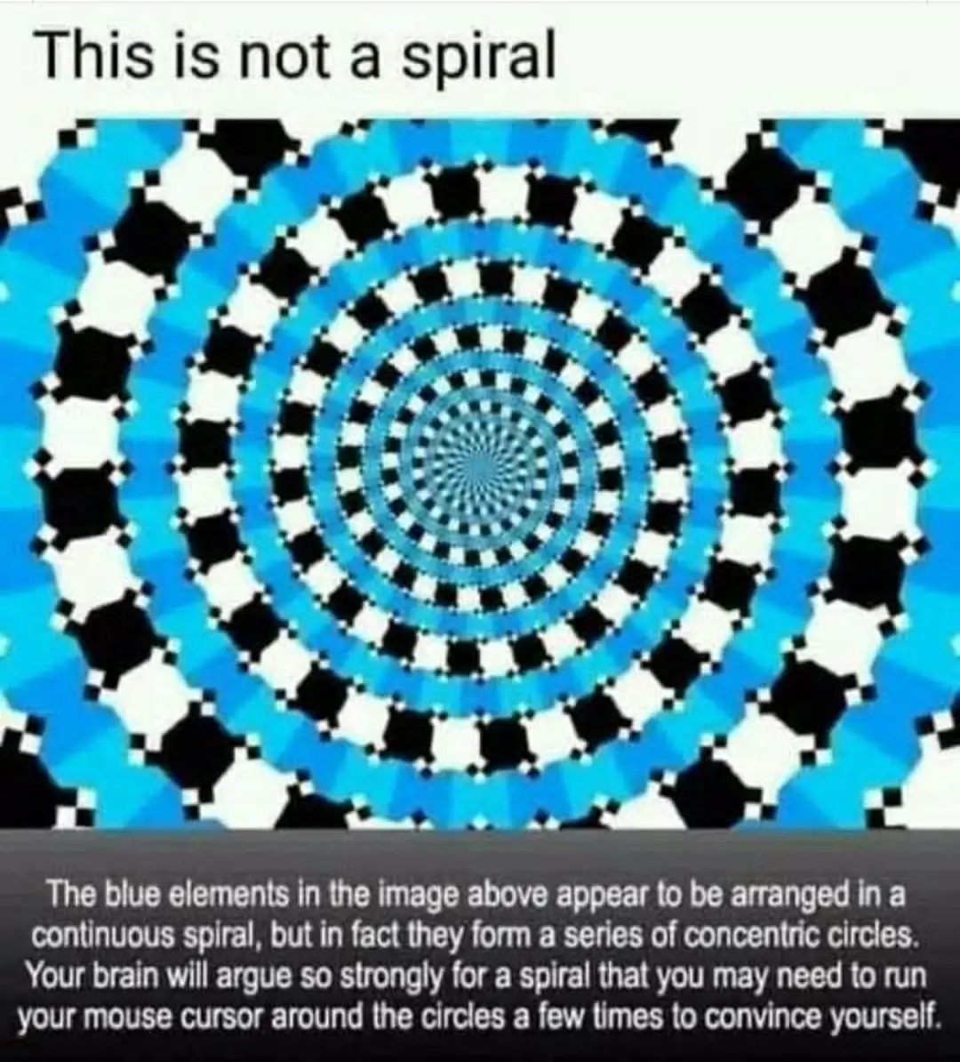 1000001400.jpg