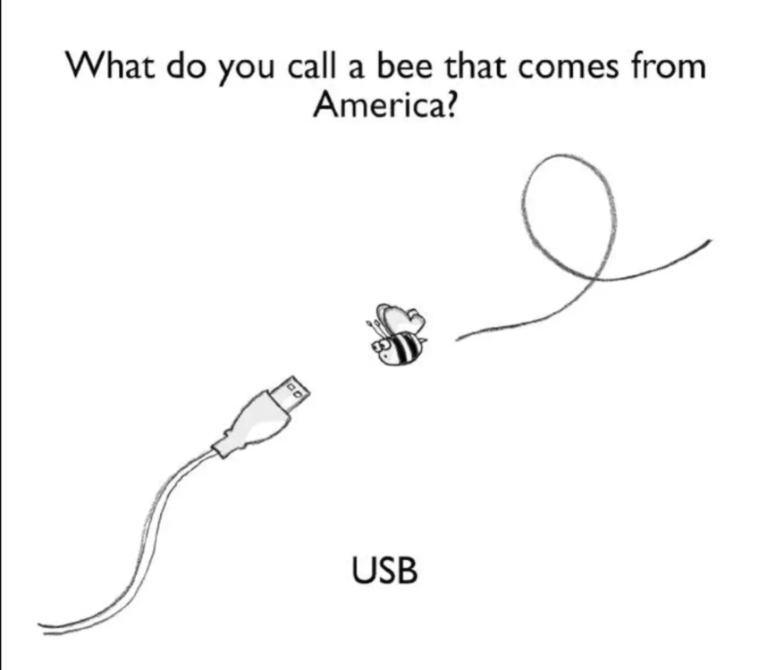 1000006951.png