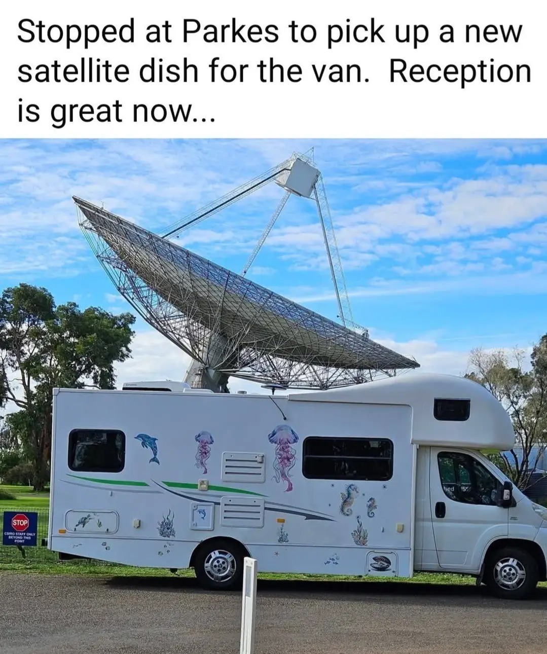 1000010479.jpg