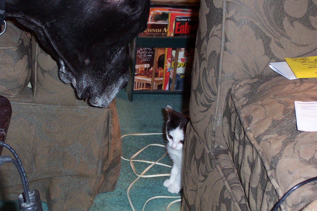 11-28-04_1343.jpg