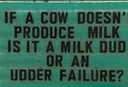 11 pun udder failure).png