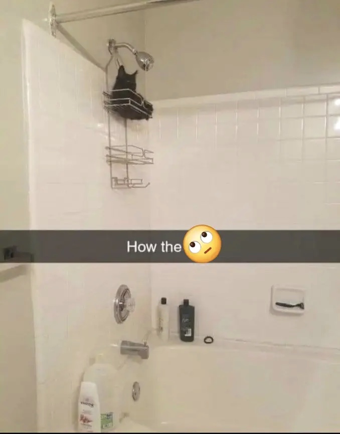 143A97B8-5895-451F-B484-8E933ABA9BC3.jpeg