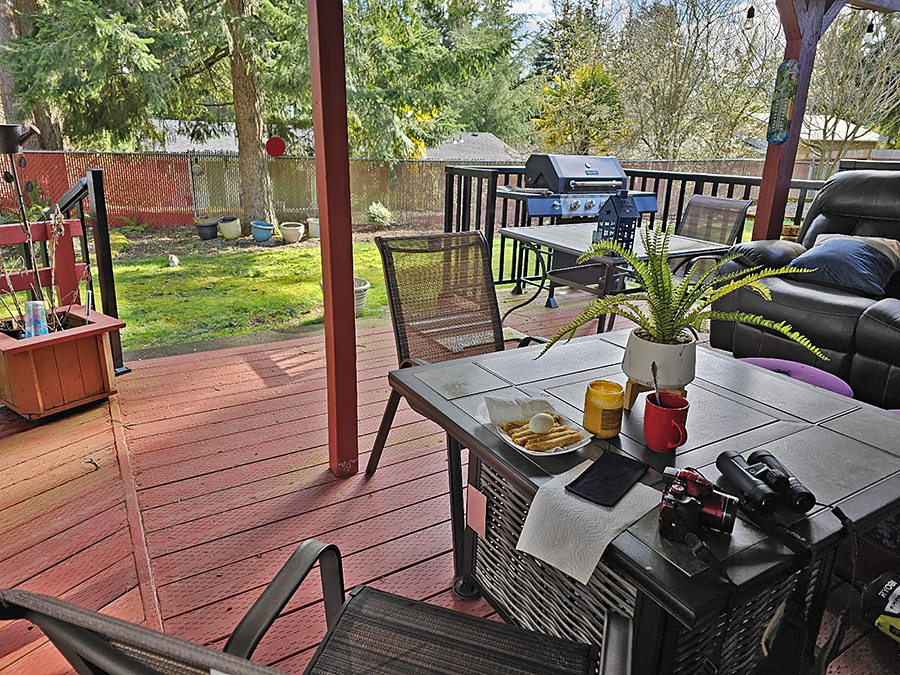 164355-Paito-web.jpg 164355-Paito-web.jpg