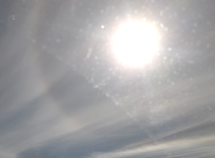 1679007794486.png