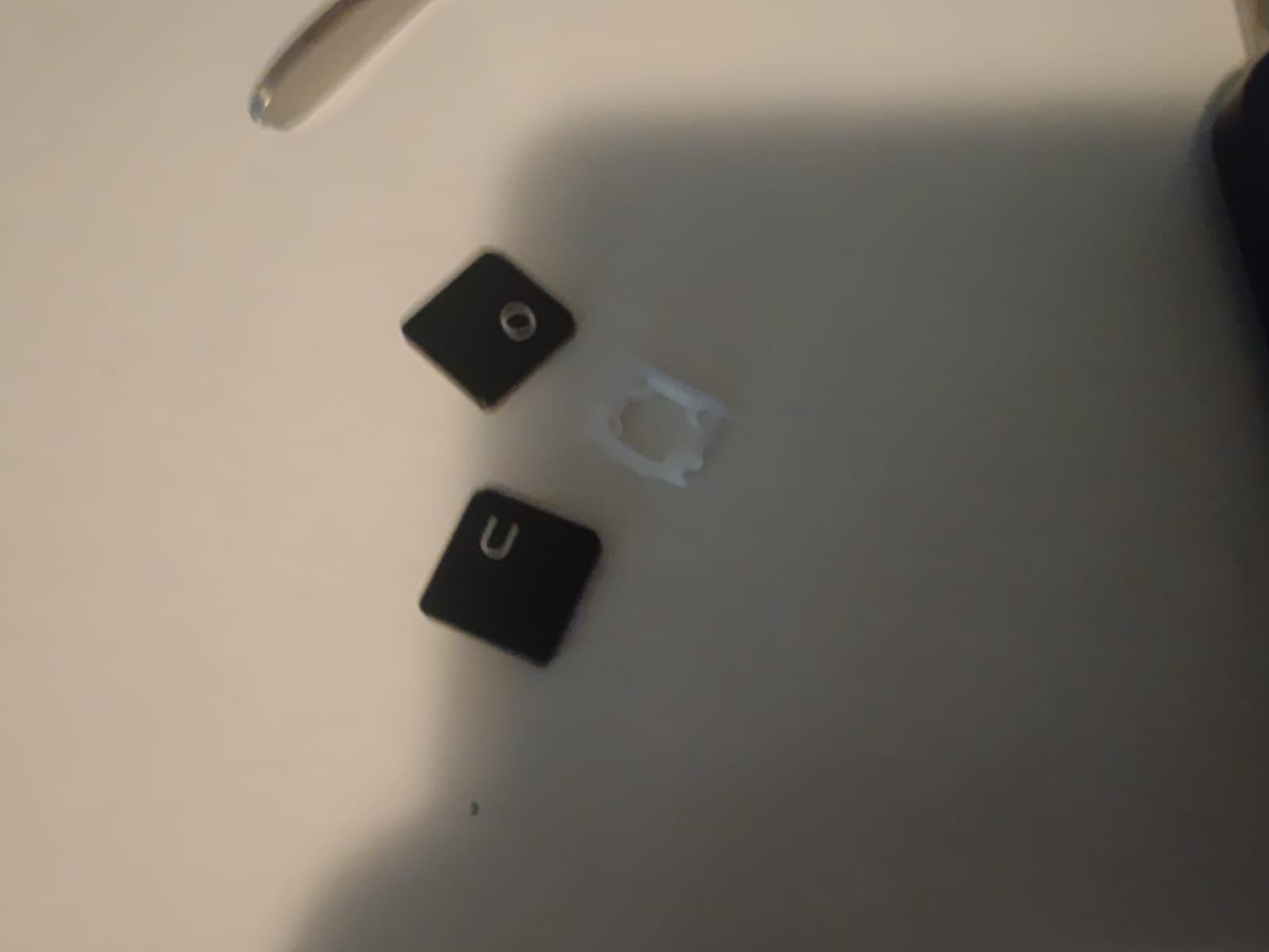 1709502452450.jpeg