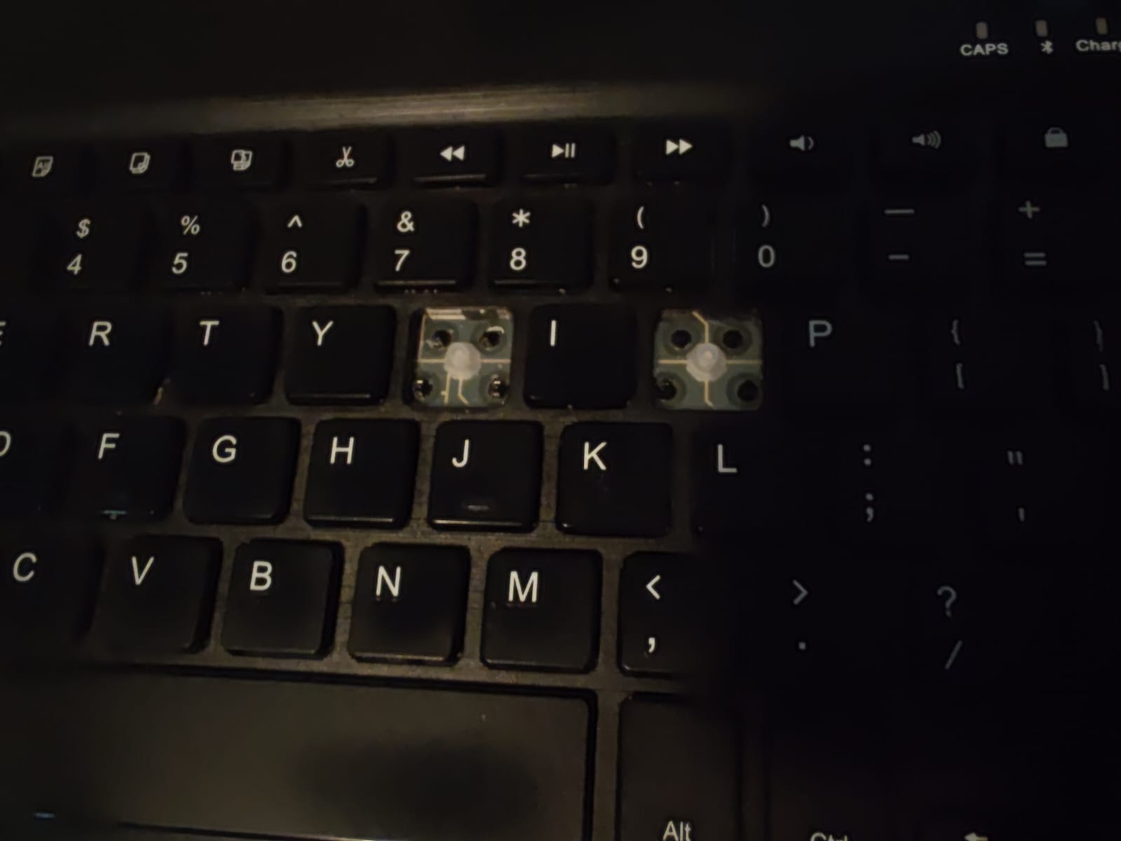 1709502469940.jpeg