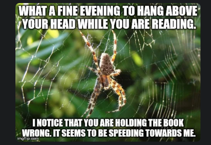 1709758189671.png