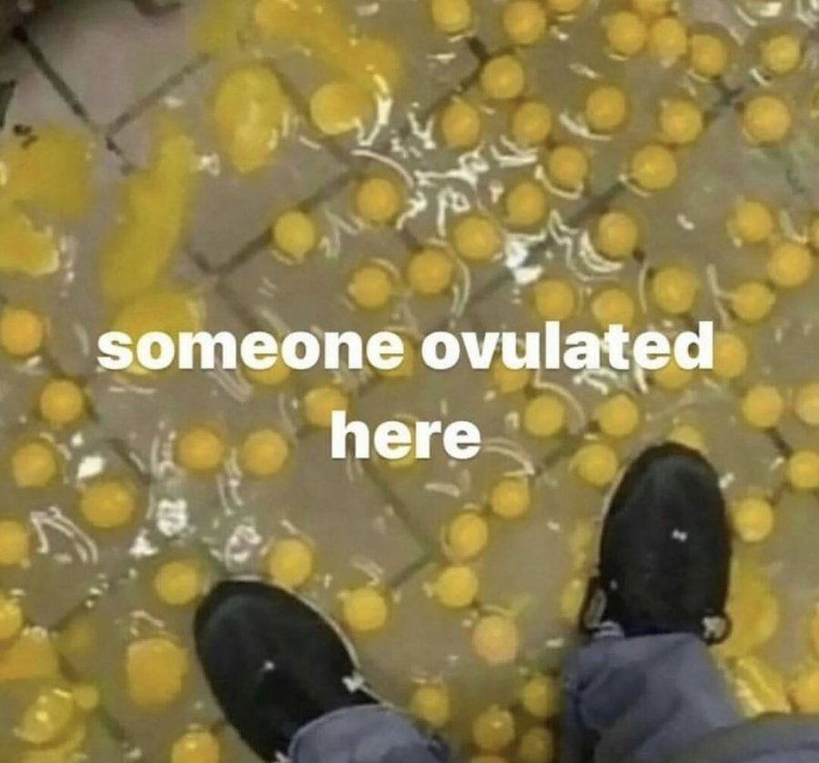 1711498103708.png