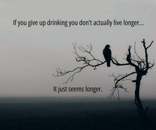 1711587511607.png