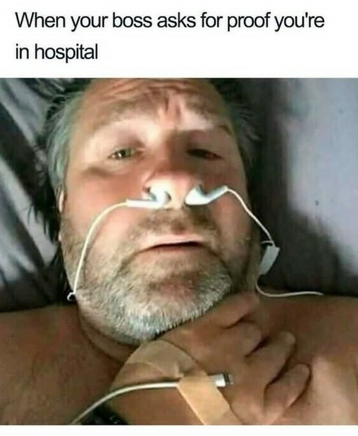 1714331169538.png