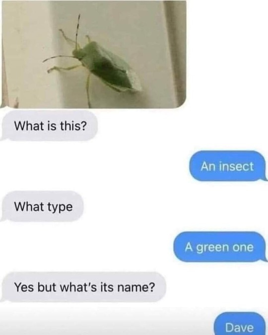 1715290943119.png