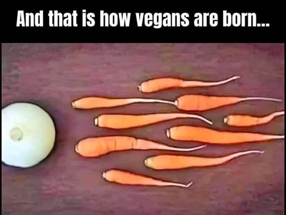 1718280644597.png