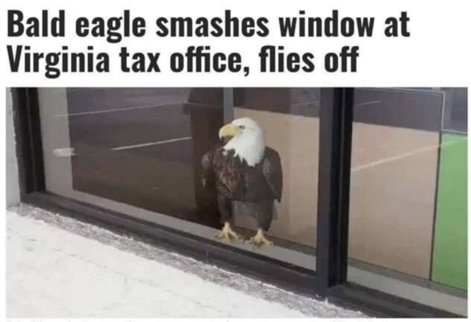 1744738507414.png