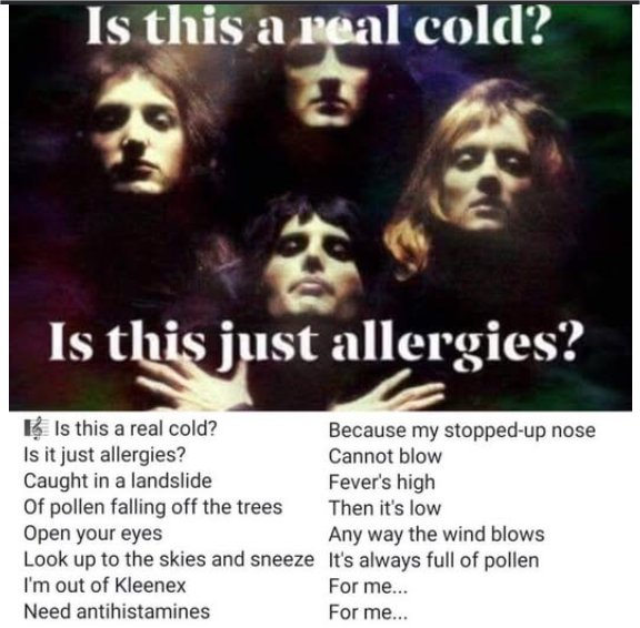 1746540158720.png