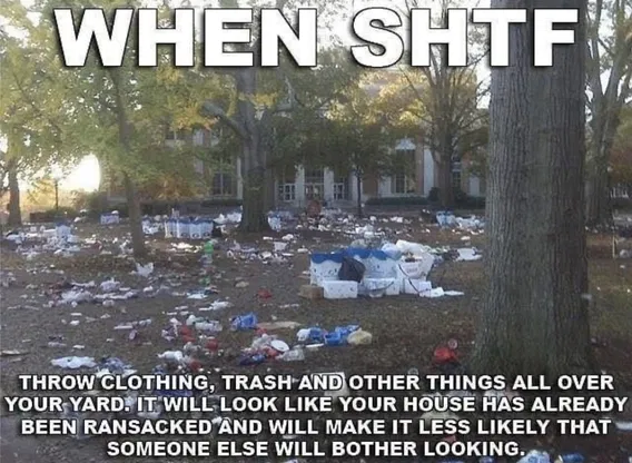 1747688180236.png