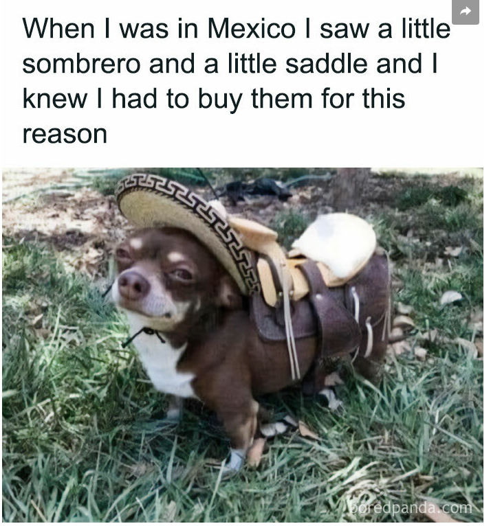 1748739686579.png