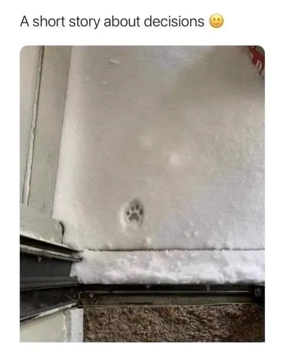 1749754340680.png