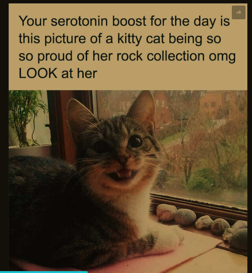 1749873063479.png