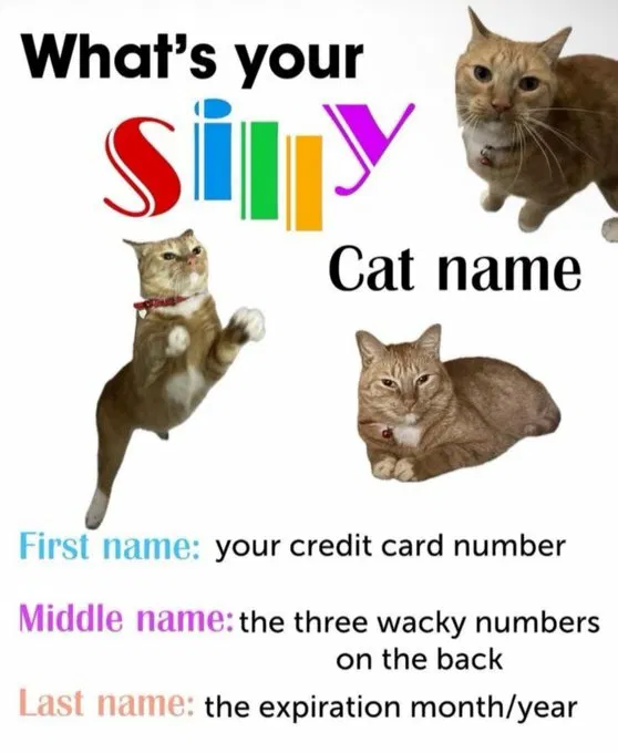 1750270133052.png