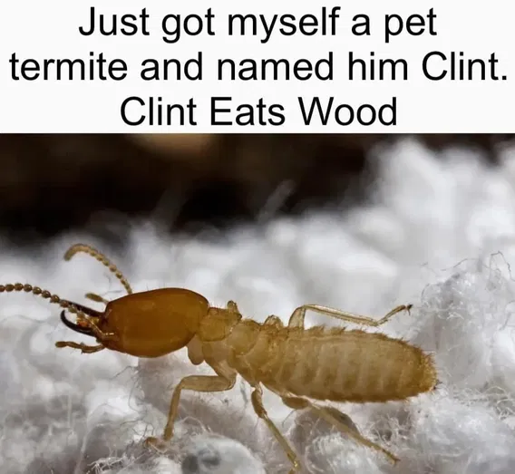 1750508869181.png