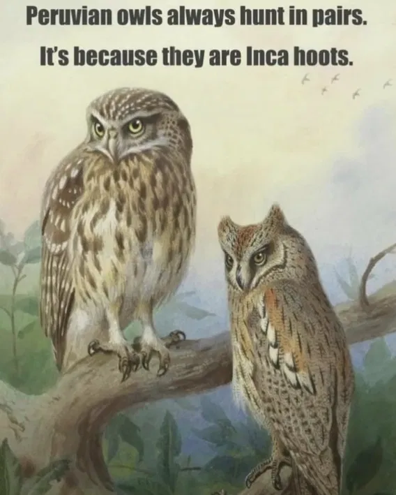 1751313005805.png
