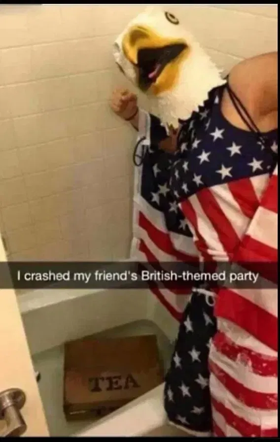 1751661558173.png