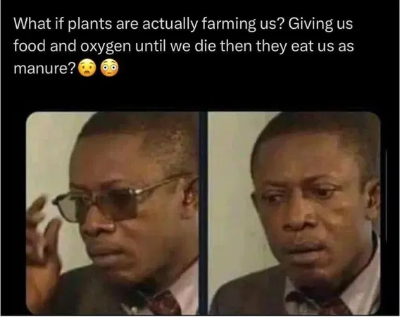1751803430875.png