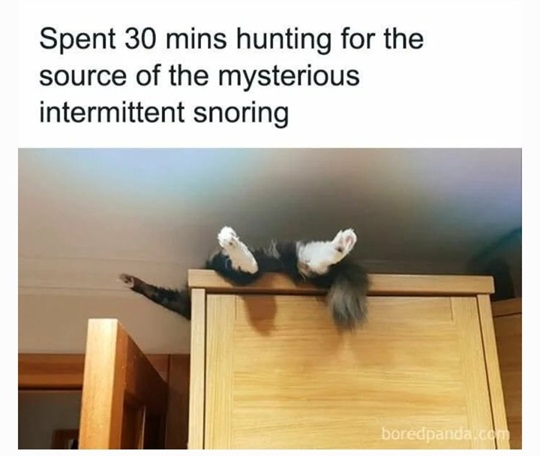 1752087034911.jpeg