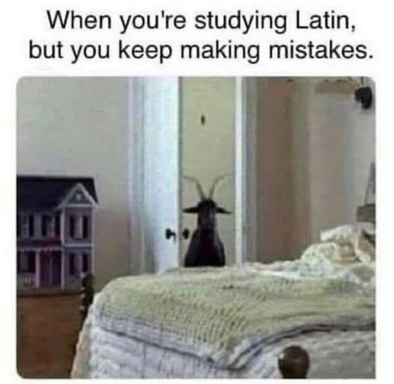 1752162339454.jpeg
