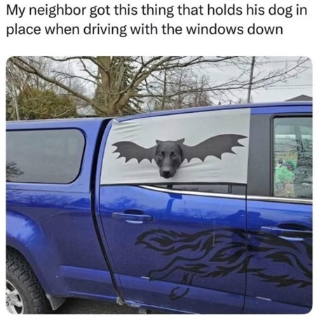 1752257296375.jpeg