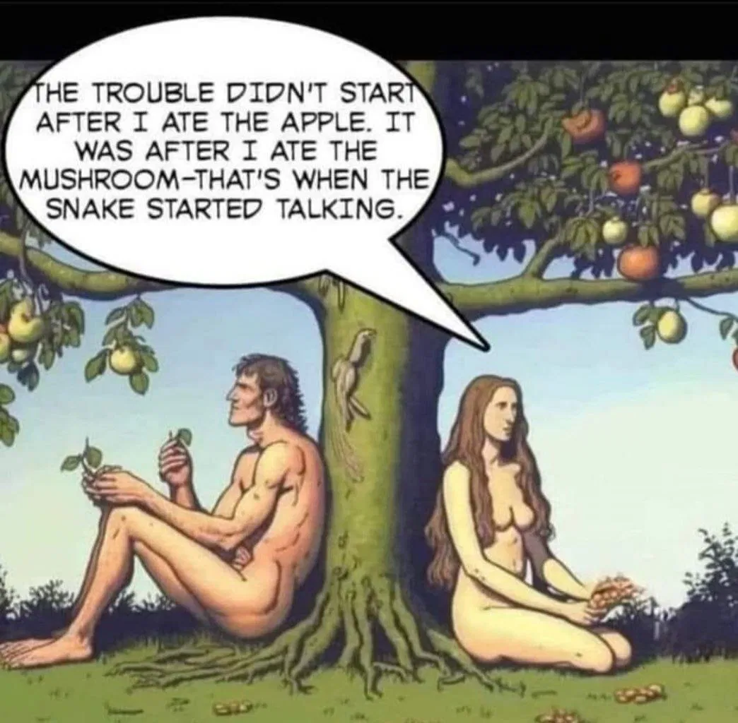 1752257296795.png