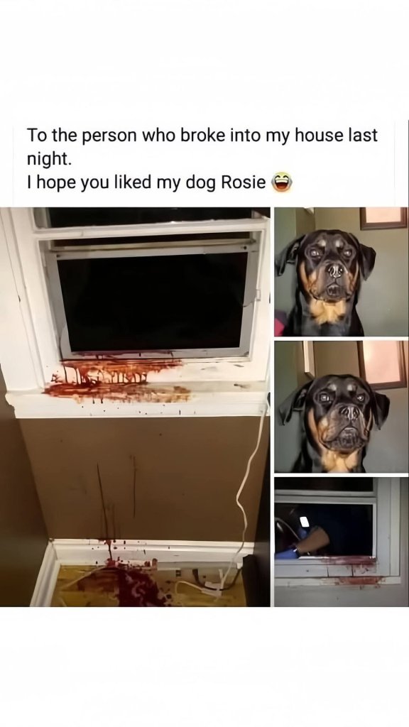 1752325006133.jpeg