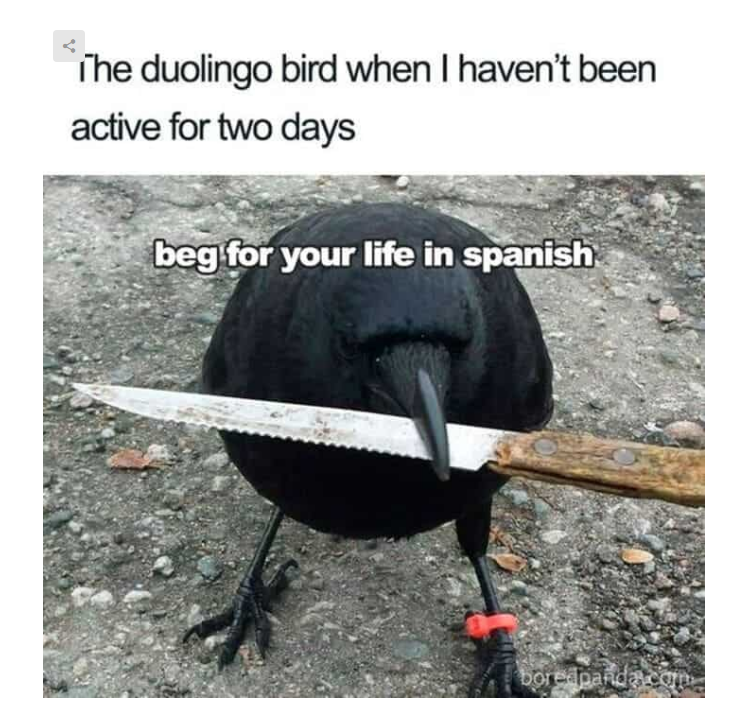 1752572913783.png