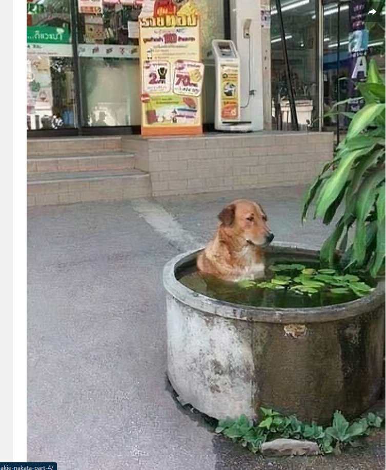 1753056860975.png