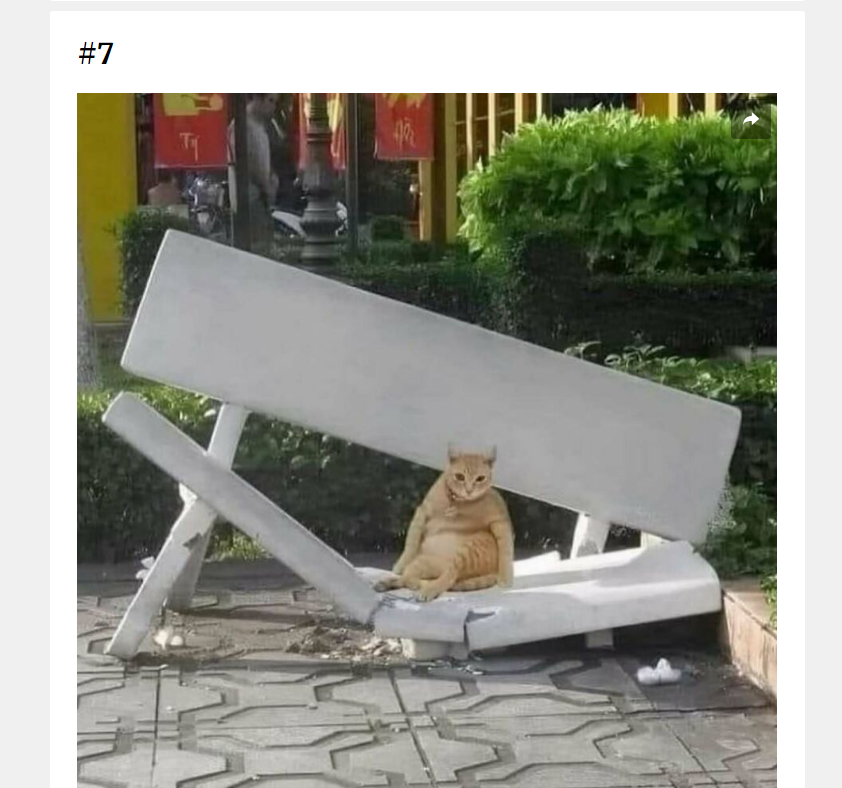 1753236999715.png