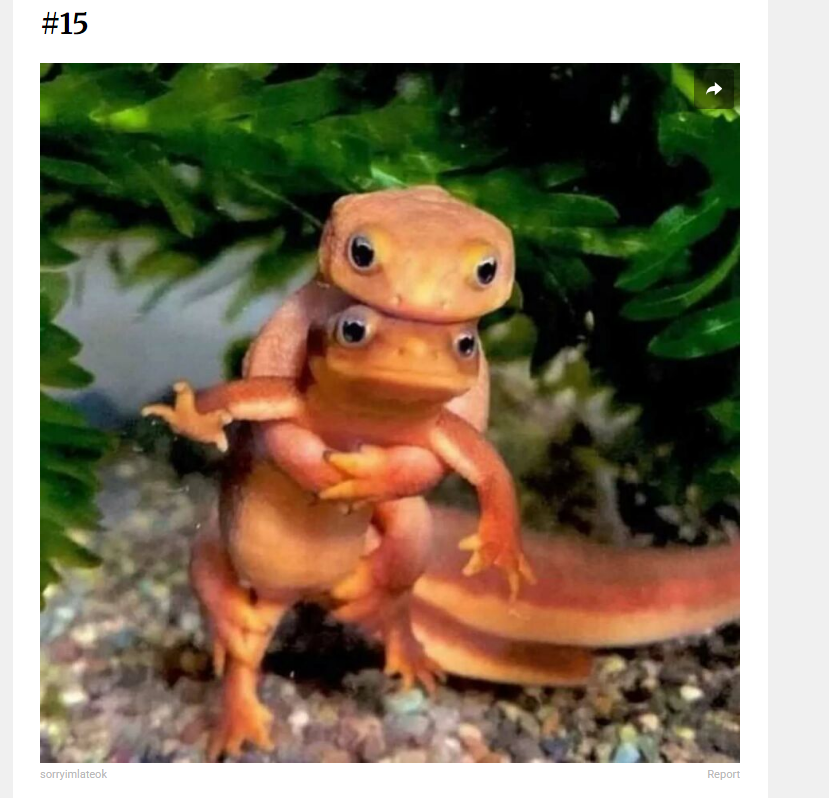 1753237088463.png