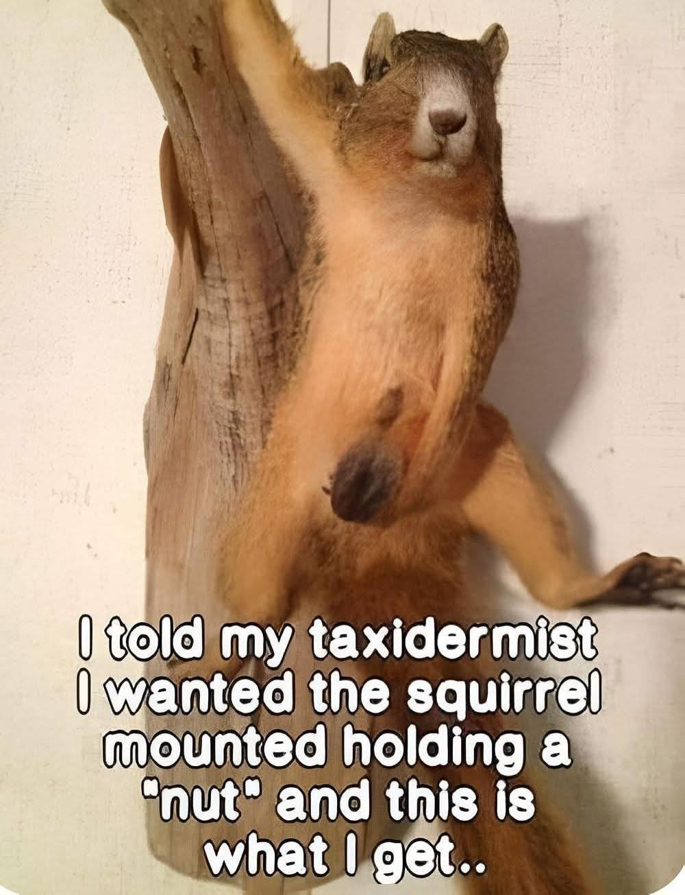1753459574734.png