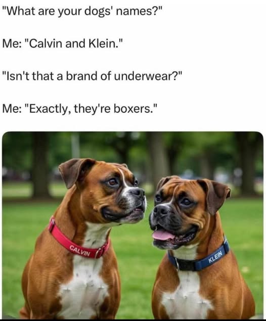 1753459738295.jpeg