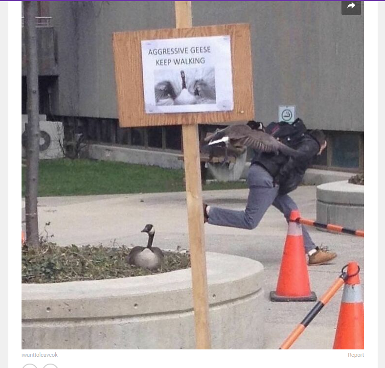 1753842295369.png