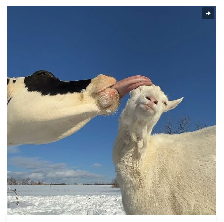 1753842758345.png